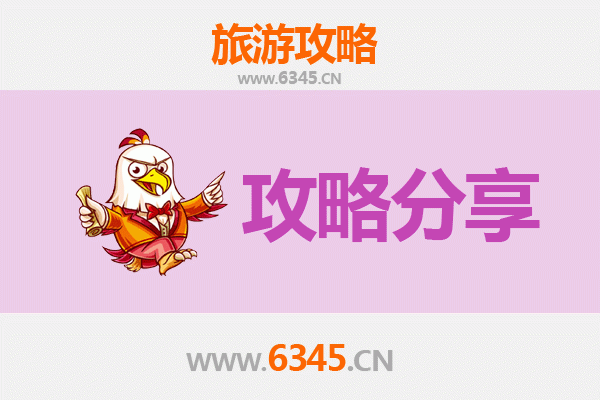德州陵县旅游攻略：跟团与自由行深度对比