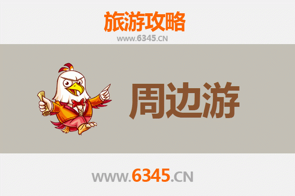 德州陵县周边游全攻略：探秘历史文化与自然风光
